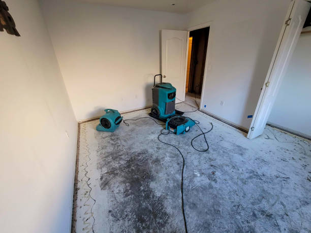 Best Flooded house restoration  in Tashua, CT