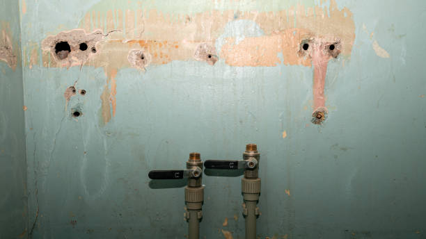 Best Flood restoration services  in Tashua, CT
